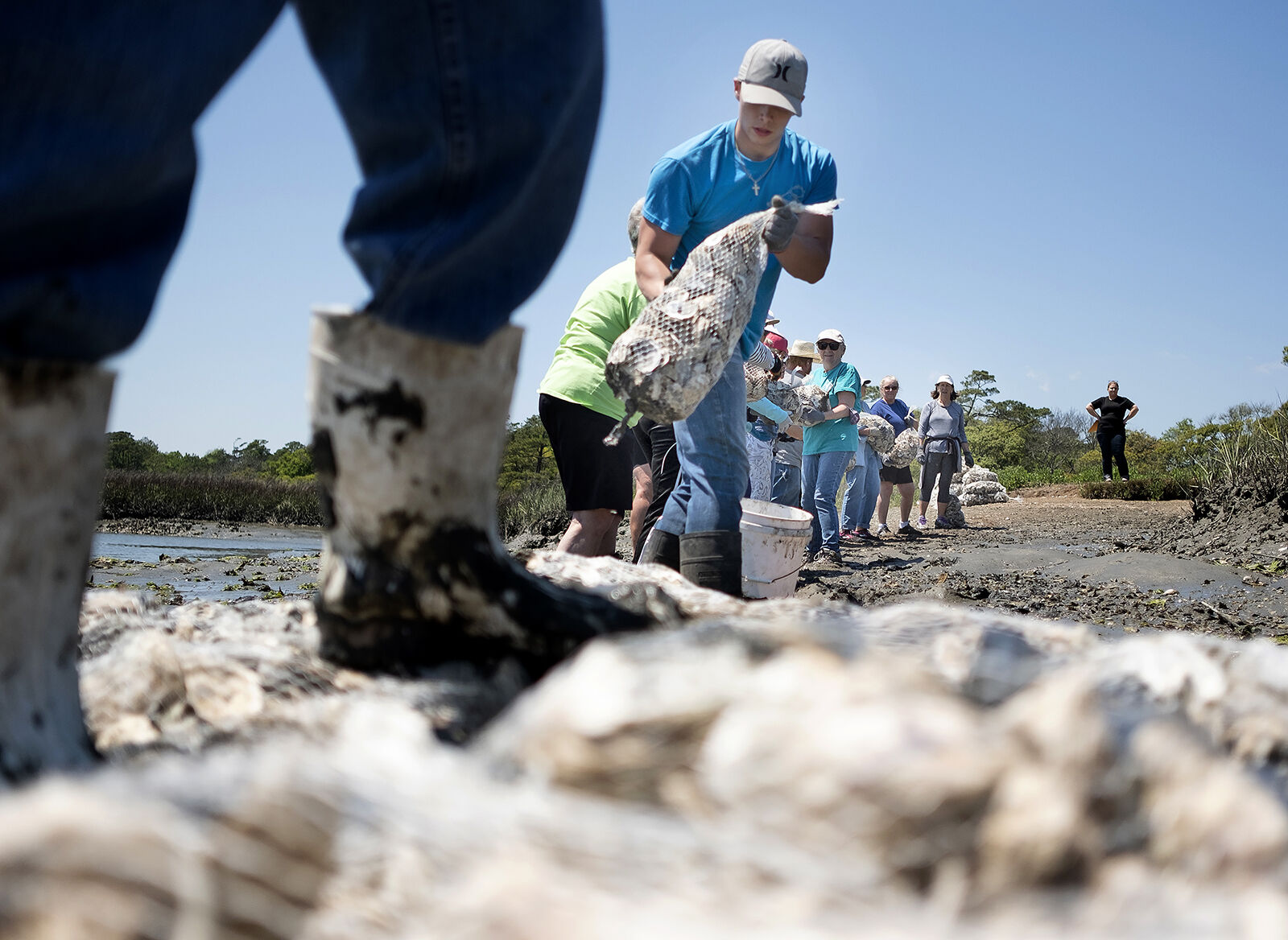 426 NMB oyster bed_JM02.JPG